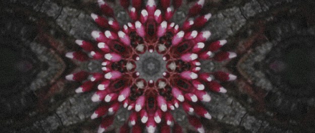 meaning of easter flickr cropped