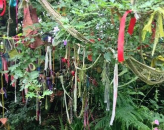 darcy clootie tree resize