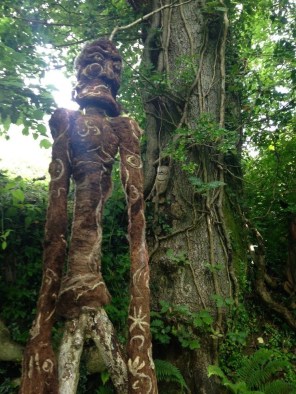 darcy tree spirit crop