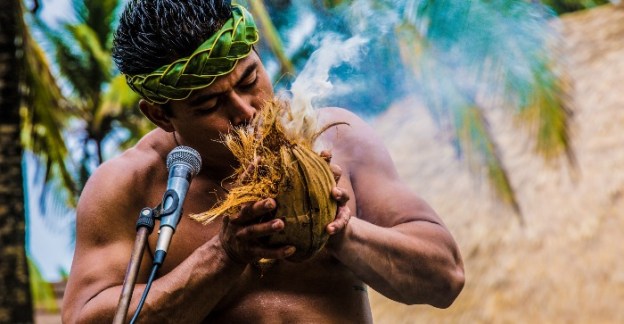 polynesian culture center thin