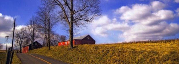 Tonelli PD barn distance thin