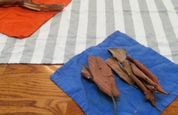 truth-circle-cambridge